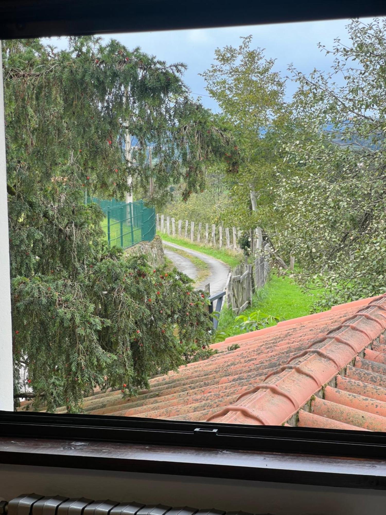 הוילה Nava Casa Boni Y Florina מראה חיצוני תמונה