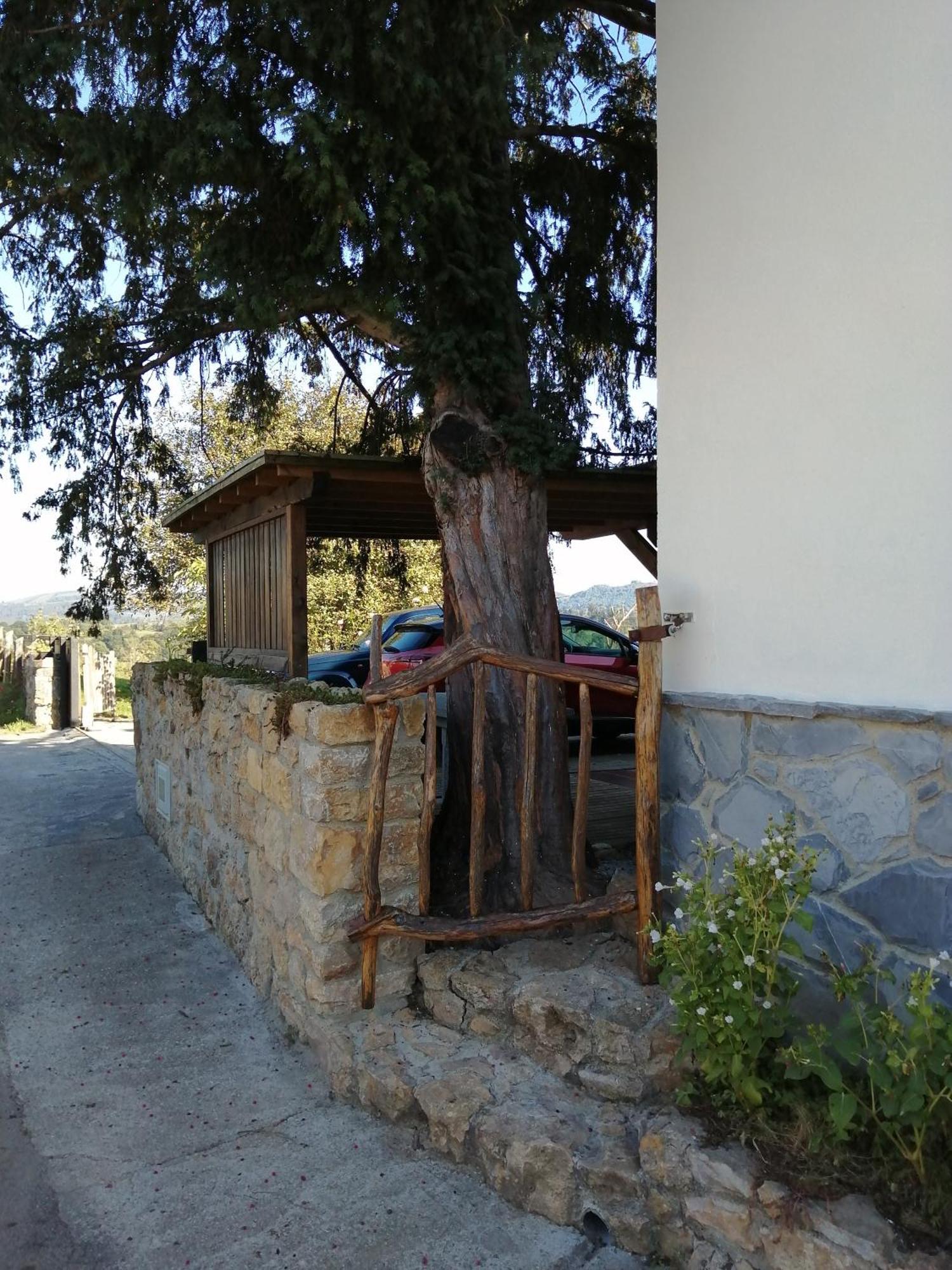הוילה Nava Casa Boni Y Florina מראה חיצוני תמונה